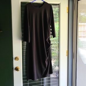 Banana Republic side cinch dress